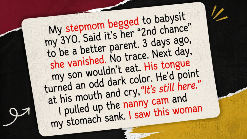 11 Stories That Remind Us to Choose Quiet Kindness, Even When the World Feels Chaotic