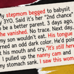 11 Stories That Remind Us to Choose Quiet Kindness, Even When the World Feels Chaotic