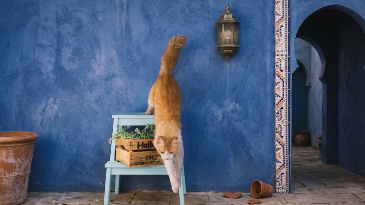 Grandma gave him a jealous look